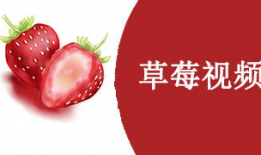 草莓视频免费观看,解锁精彩瞬间！